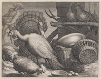 KG 02672
<br/>
Pluimvee
<br/>
<em>Bolswert, Boëtius (ca.1580-1633)</em>